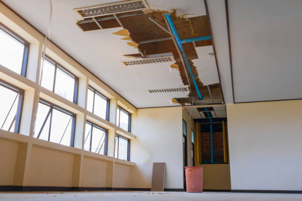 Best Flood damage cleanup  in Jackson, MS