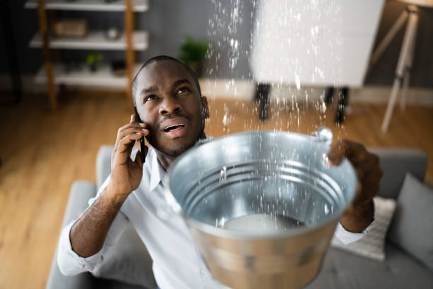Best Water damage repair service  in Jackson, MS