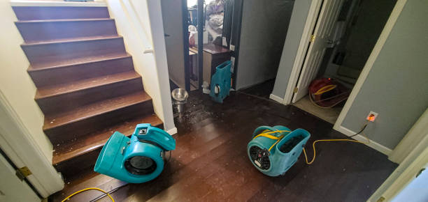 Best Fire Damage Restoration  in Jackson, MS