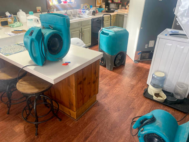 Best Water damage cleanup near me  in Jackson, MS