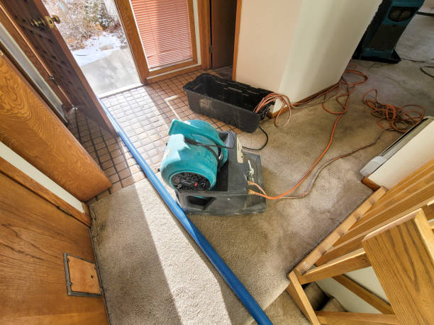 Best 24-hour water damage restoration  in Jackson, MS