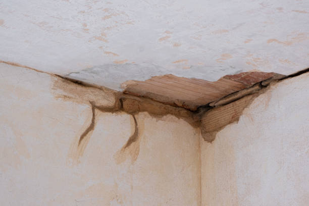 Best Carpet water damage restoration  in Jackson, MS