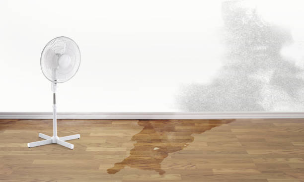 Best Water damage restoration near me  in Jackson, MS