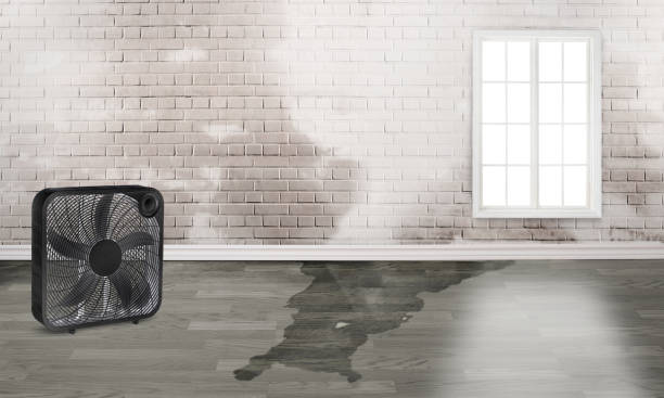 Best Residential water damage restoration  in Jackson, MS