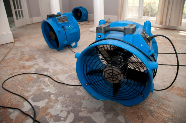 Best Water damage restoration near me  in Jackson, MS