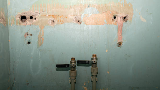 Best Water damage restoration insurance claims  in Jackson, MS