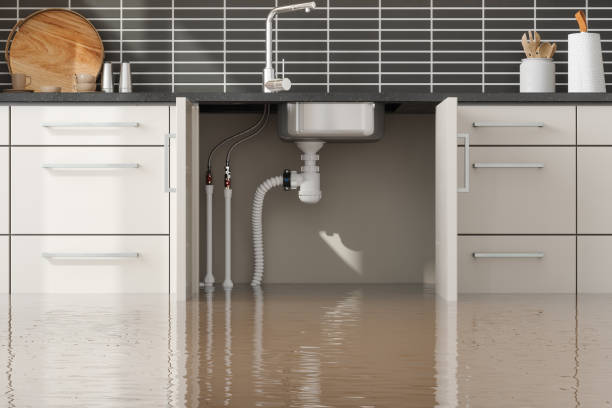 Best Water damage contractors near me  in Jackson, MS
