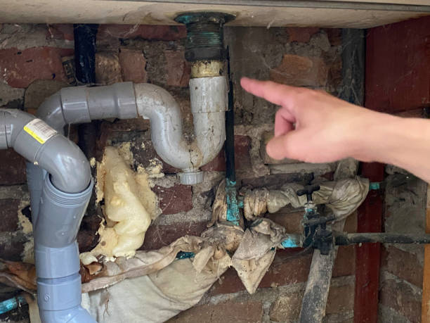 Carpet water damage restoration in MS