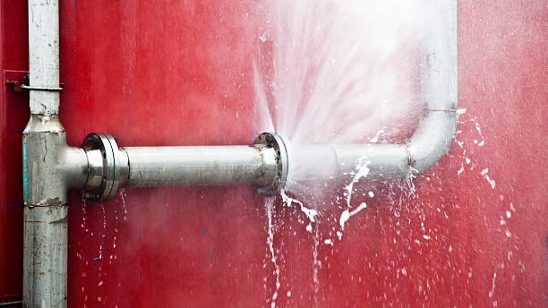 Best Carpet water damage restoration  in Jackson, MS