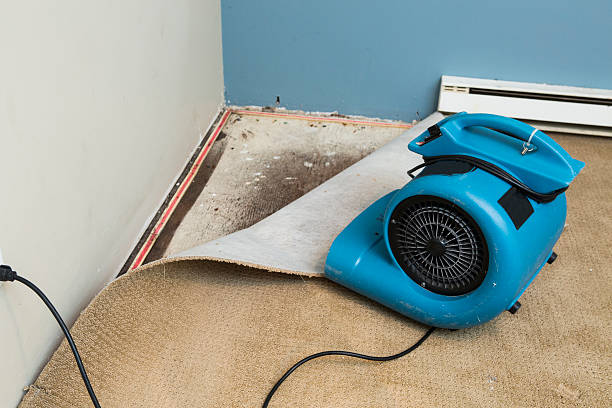 Professional Water damage restoration in MS